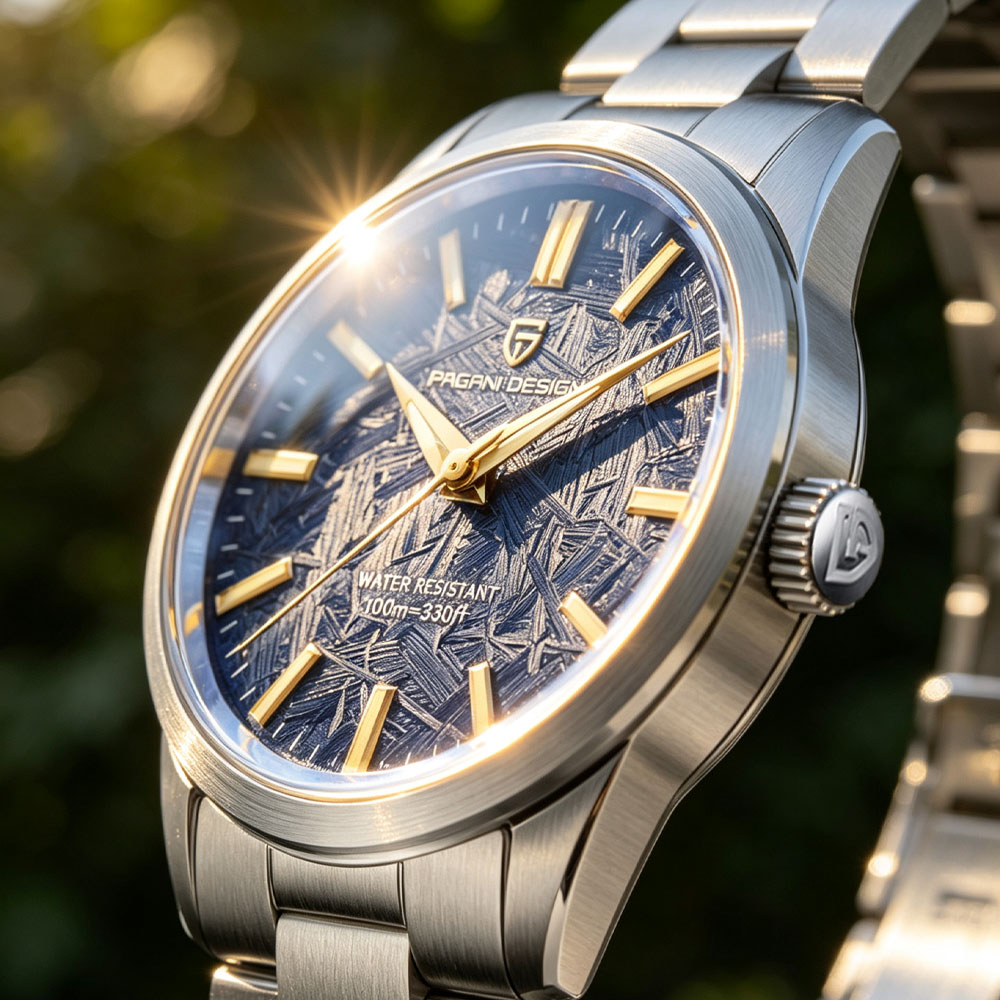 Best Luxury Quartz Watch - PAGANI DESIGN 40MM Men Quartz Watch