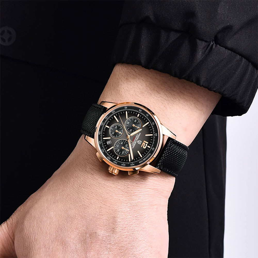 PAGANI DESIGN New Mens Watch 4 - Luxury Watch Manufacturers recension och pris