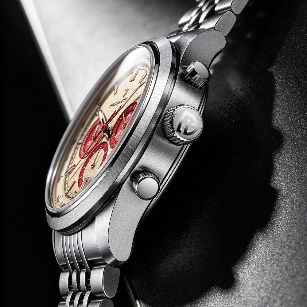 PAGANI DESIGN New Men Watch Lu - Luxury Watch Design recension och pris