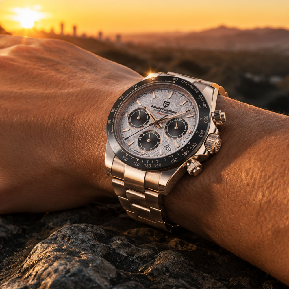 Top Brand PAGANI DESIGN Luxury - Luxury Watch Manufacturers recension och pris